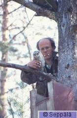 Raimo Seppälän kuva Marasta lehtopöllön poikasen kanssa.jpg