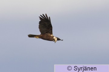 IMG_5908_2_2.JPG