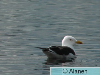 DSCN8990.JPG