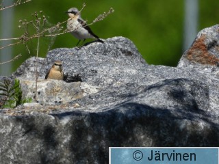 DSCN5637.JPG