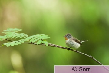 IMG_5048.jpg