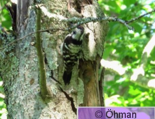 DSC00125.jpg