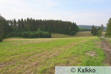 haarahaukka 550.jpg