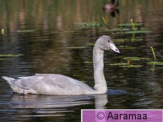 20250917-SA1_5307-2.jpg