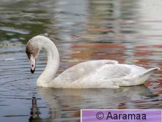 20250919-SA1_6750-2.jpg