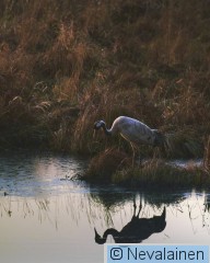 22.3.26 - Piekana_9.jpg