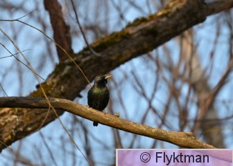 K DSC_0350.JPG