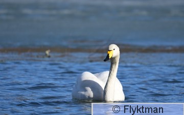 K DSC_0232.JPG