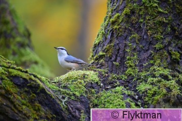 DSC_3904.JPG