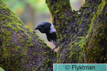 DSC_3922.JPG