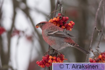 IMG_7168.jpg
