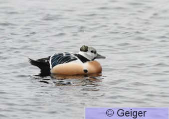 IMG_4681.JPG