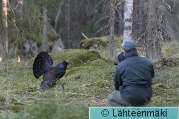 Metso1_Reijo Lähteenmäki.jpg