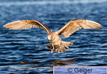 IMG_0900.jpg