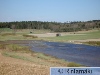 KEVÄTKUVA Sarkkilanjärvi PRkuva.JPG