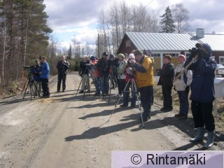 RETKI22.4.2006b Pilynarkisto.JPG