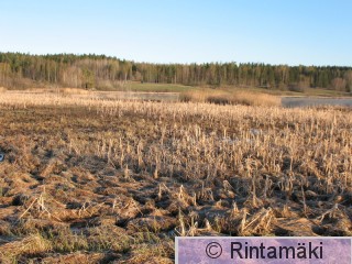 8.5.2014 Tampere Nuorjärvi PRKuva.jpg