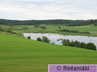 Hä Sarkkilanjärvi 17.7.2011 PRKuva.jpg