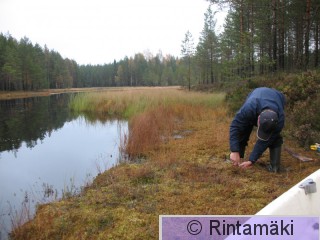 Harri Laurila Kaakkurin tekosaareke No Pikku Koukkujärvi 2.10.2007 PRKuva.jpg