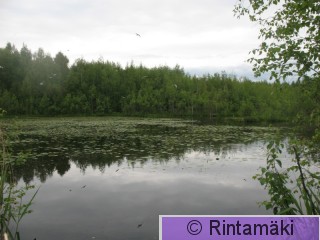 Tampere Vähäjärvi 24.6.2012 PRKuva.JPG