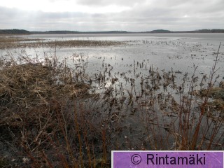 5.4.2015 Kiikoisten Kuorsumaanjärvi PRKuva.JPG