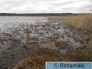 Kiikoisten Kuorsumaanjärvi 5.4.2015 PRKuva.JPG