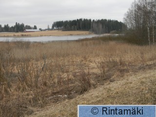 Koivuniemenjärvi Sastamalassa 5.4.2015.JPG