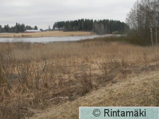 Koivuniemenjärvi Sastamalassa 5.4.2015.JPG