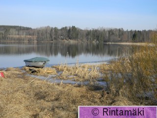 Nokia Taivalkunta Alanen lintuja 18.3.2015 PRKuva.JPG