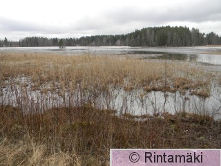 Onkemäenjärvi 3.4.2015 PRKuva.JPG