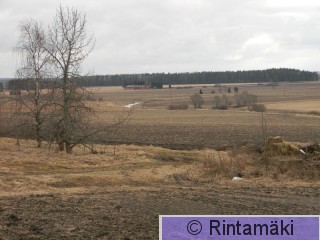 Punkalaidun Oriniemi  5.4.2015 PRKuva.JPG