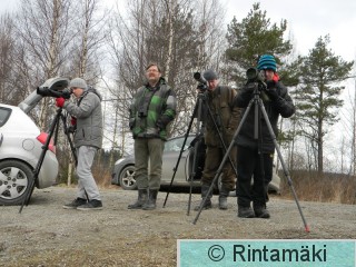 Staijareita Liekovesi 6.5.2015 PRKuva.JPG