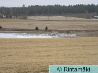 Suodenniemi Koivuniemenjärvi 1.4.2015 PRKuva.JPG