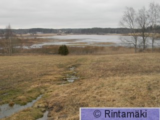 Suodenniemi Koivuniemjärvi 5.4.2015 PRKuva.JPG