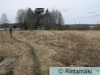 Urjalan Kortejärven torni 6.4.2015 PRKuva.JPG