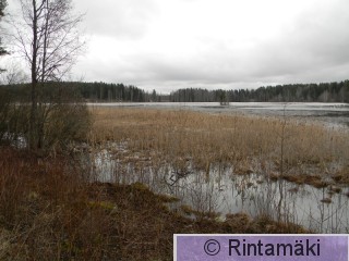 Vesilahden Onkemäenjärvi 3.4.2015 PRKuva.JPG