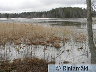 Vesilahti Onkemäenjärvi 3.4.2015 2 PRKuva.JPG