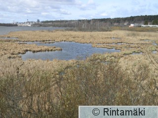 Iidesjärvi torni 22.4.2015 3 PRKuva.JPG