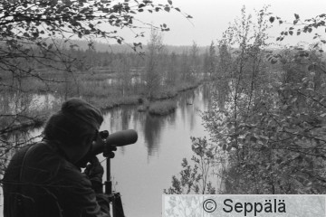 41  Vaivialla Helge tarkkailee mustakurkku-uikkuja 1973   HH.jpg