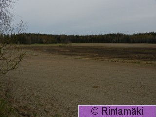 4.5.2015 Pirkkala Korteniitty PRKuva.JPG