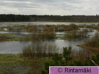 5.5.2015 Virrat Vermasjärvi Mäntylänlahti 7 PRKuva.JPG