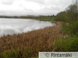 14.5.2015 Ylöjärven Ilmarinjärvi 2 PRKuva.JPG