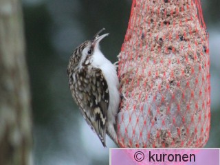 IMG_3022 2.jpg