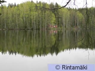 21.5.2015 Tampere Halimasjärvi kaakkurit 2 PRKuva.JPG