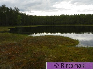 13.6.2015 Ylöjärvi Mustalampi 2 PRKuva.JPG