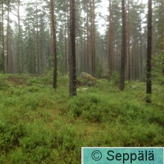2016-06-16 13.14.51.jpg