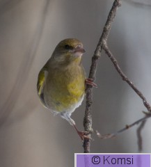 DSC_8793.jpg